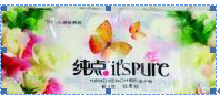 昆山金妃衛(wèi)生紙LOGO設(shè)計(jì)過(guò)程